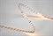 Светодиодная лента DSG-FOB DSG-FC2120-24-WW-33 designled_dsg-fc2120-24-ww-33 - фото 3148173