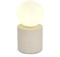 Интерьерная настольная лампа Estruzzo SL1512.504.01 - фото 3314448
