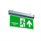 Светильник информационный аварийный "Выход вверх+надпись" белый свет 360X225мм аккумуляторный 2-сторонний svetlon_MBD-089BG _Е-45 - фото 4476105