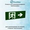 Стекло для информационного светильника аварийного "Стрелка выход направо бегущий" svetlon_E15_MDB200N - фото 4502790