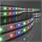 Светодиодная лента 24V 14,4W IP65 Лента светодиодная 24V 14,4W 60Led 5050 IP65 RGB, 5м elektrostandard_a052978 - фото 4564719