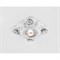 Точечный светильник Дизайн С Узором И Орнаментом Гипс D5504 W/CH - фото 930359