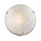 Настенно-потолочный светильник Kusta 118/K - фото 948161