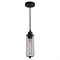 Подвесной светильник Irondequoit LSP-9608 - фото 978260