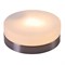 Потолочный светильник Opal 48401 - фото 990299
