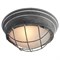 Потолочный светильник Brentwood LSP-9881 - фото 991192
